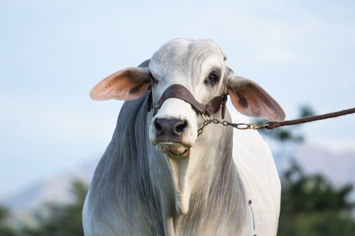 WhatsApp Image 2025-04-20 at 5.05.39 PM