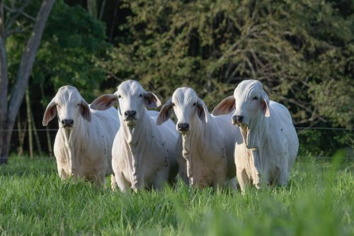 WhatsApp Image 2025-04-20 at 5.05.40 PM (1)