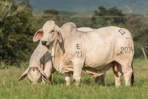 WhatsApp Image 2025-04-20 at 5.05.40 PM