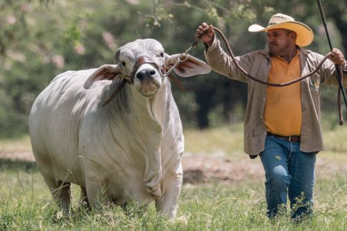 WhatsApp Image 2025-04-20 at 5.05.41 PM